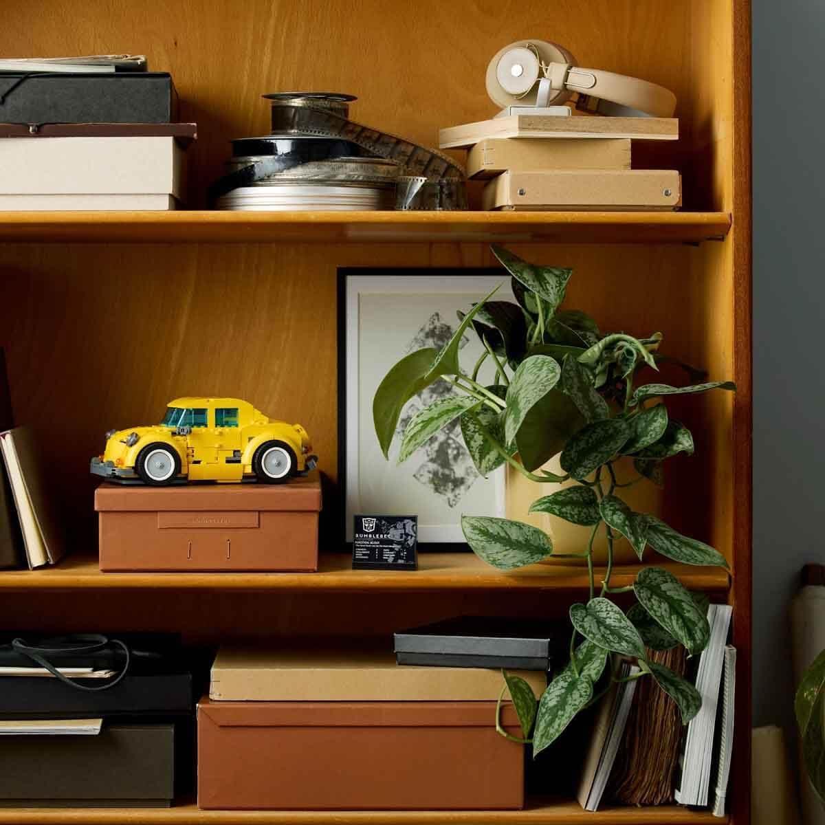 Miniatura 6
